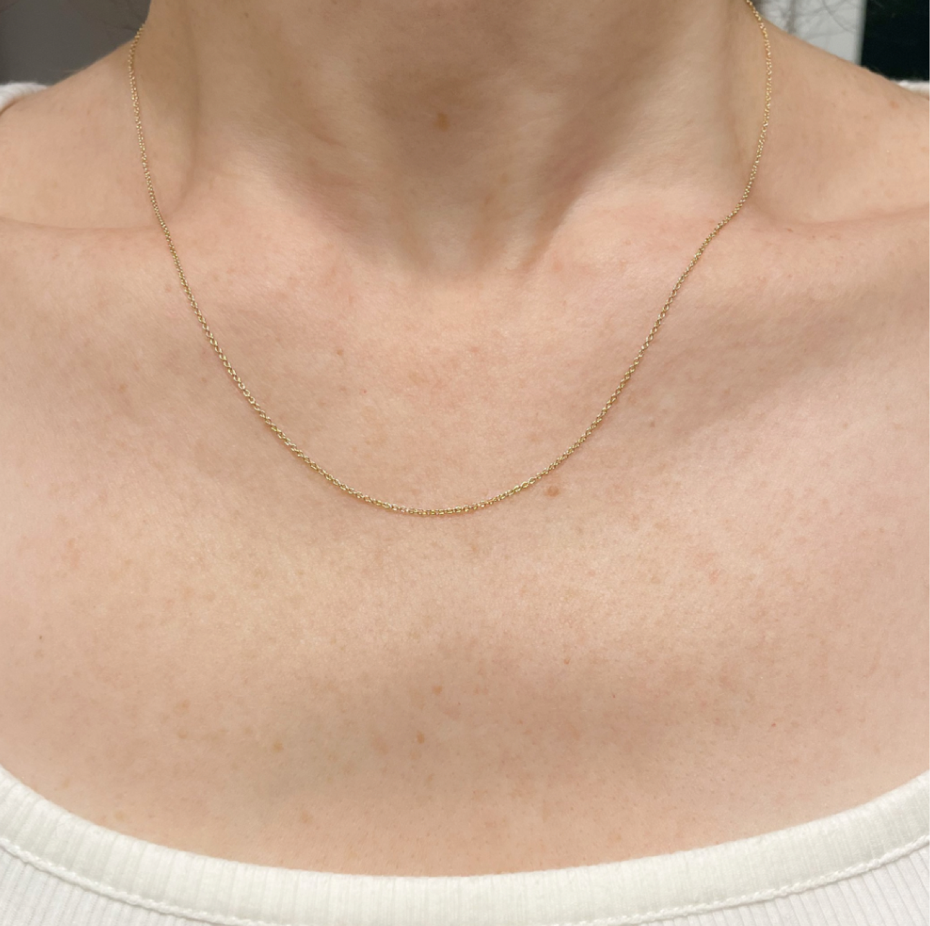 Delicate Cable Chain in 14K Gold